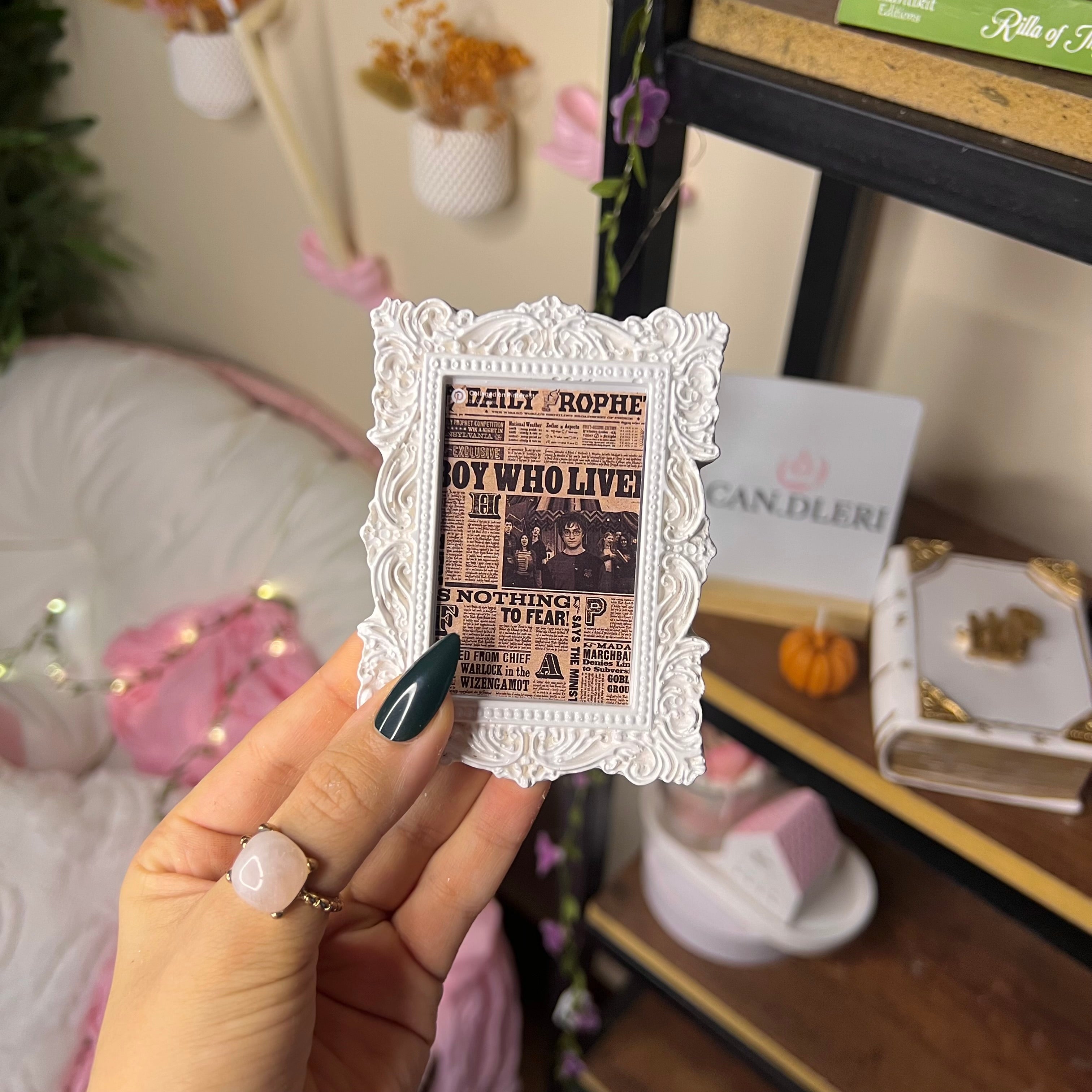 Harry Potter Vintage Frame 🪄