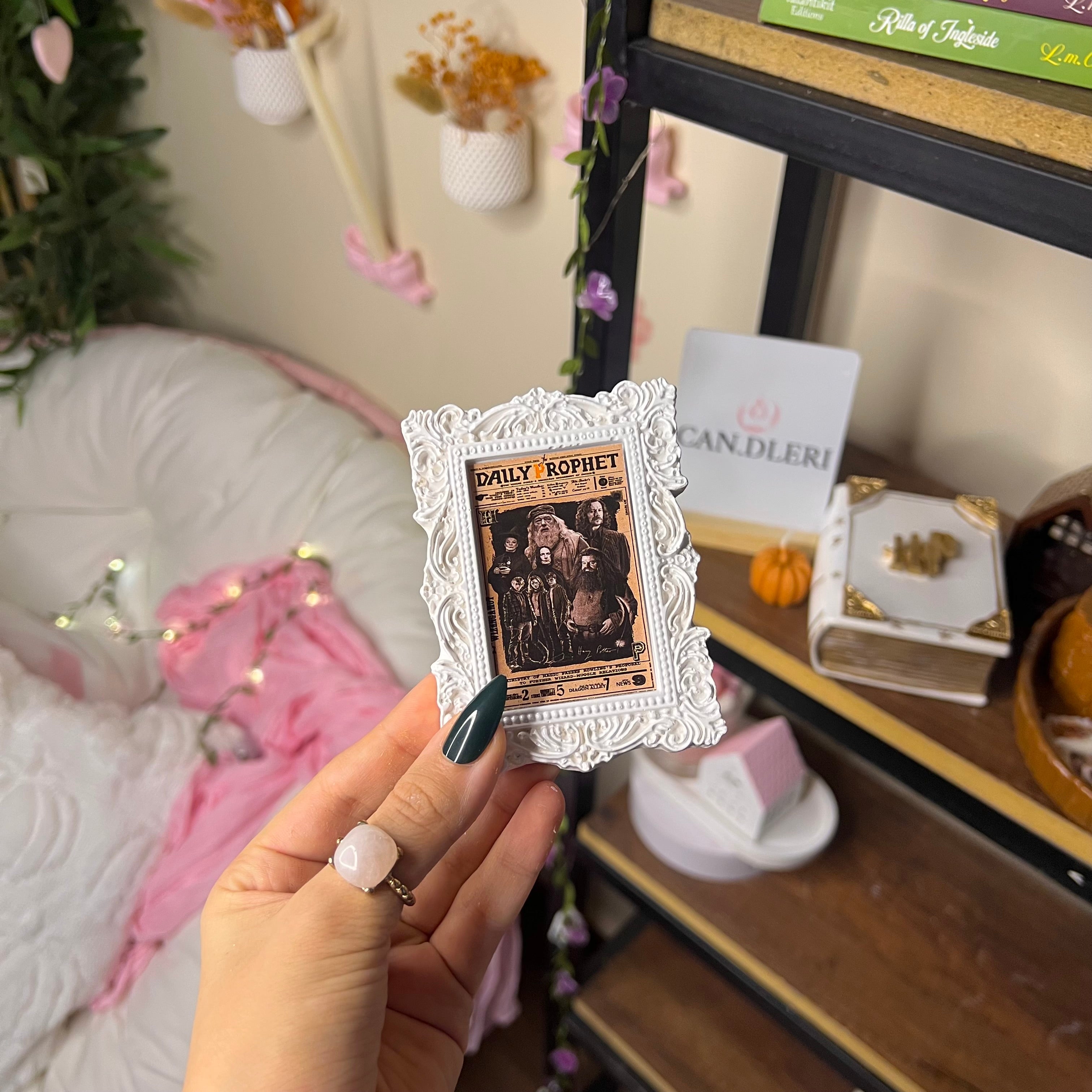 Harry Potter Vintage Frame 🪄