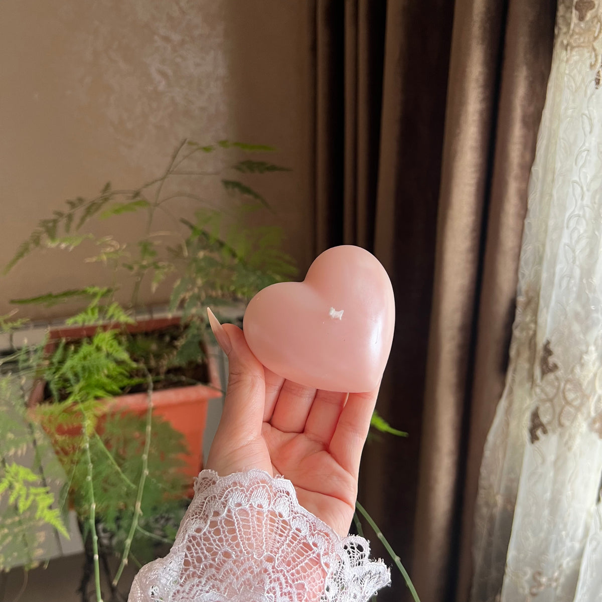 Heart