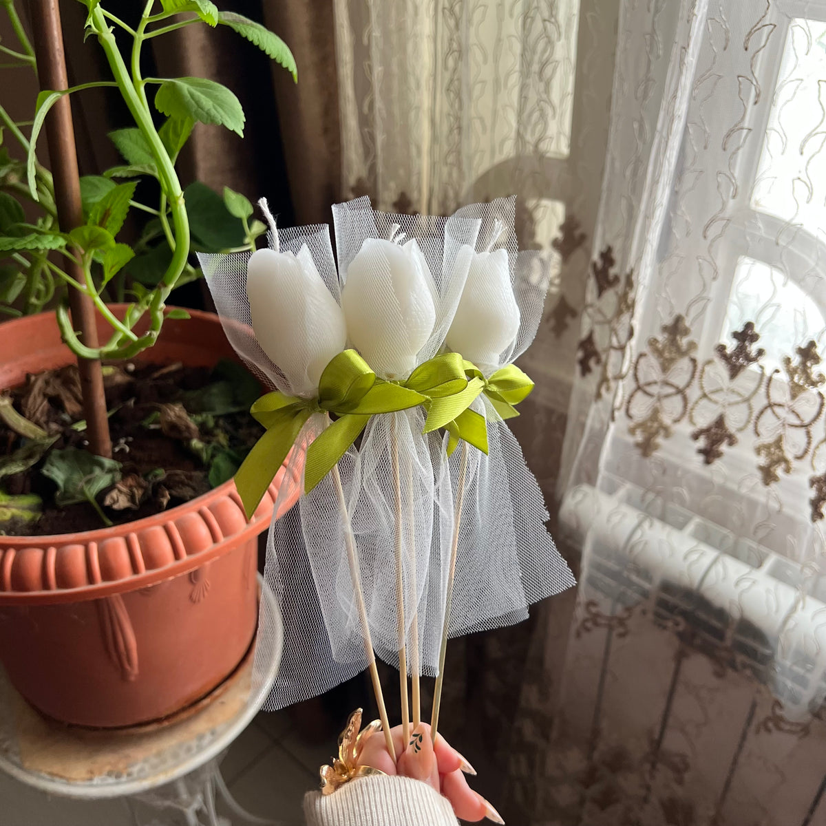 Tulip